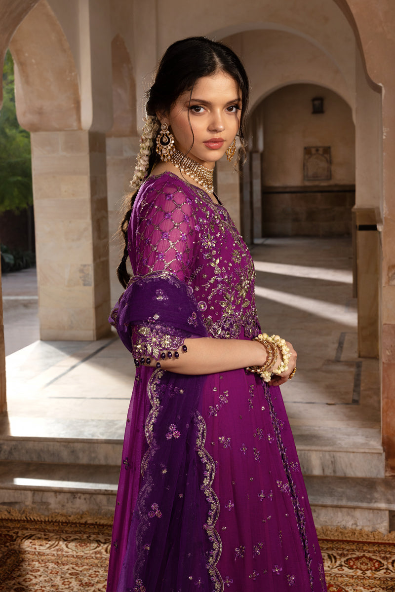 Rangrasiya | Chiffon Formals | Aaliyah-5