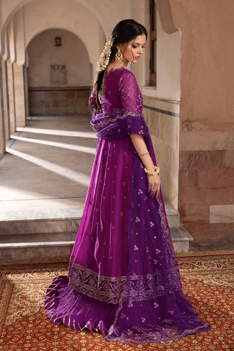 Rangrasiya | Chiffon Formals | Aaliyah by Rang Rasiya, image 2