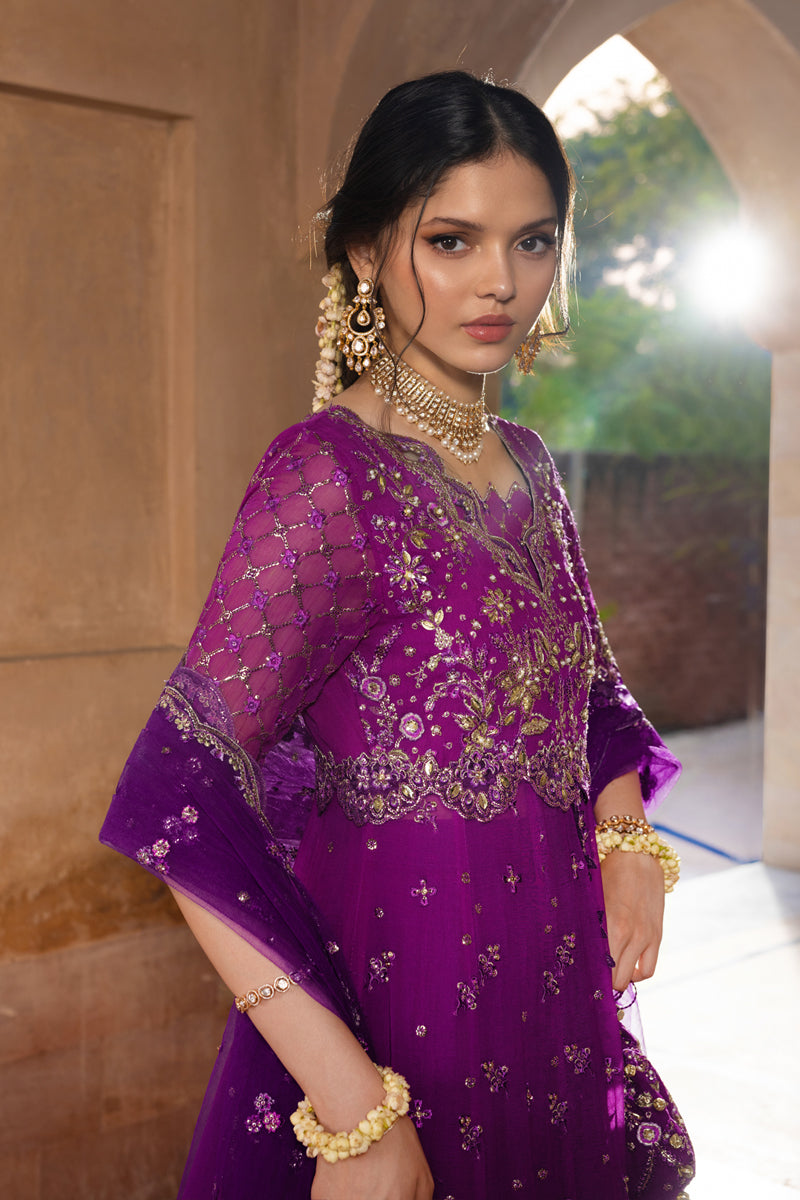 Rangrasiya | Chiffon Formals | Aaliyah by Rang Rasiya, image 3
