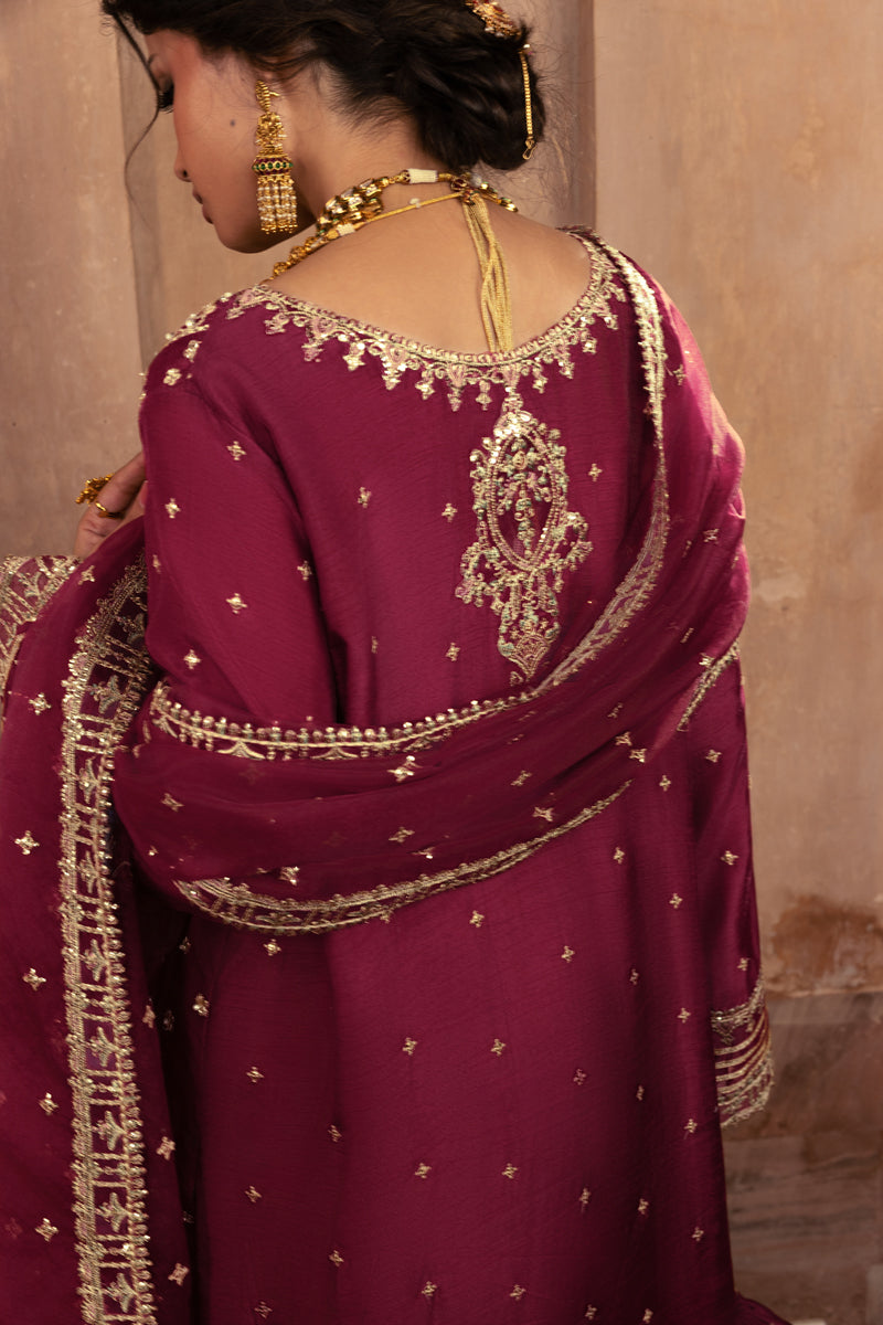 Rangrasiya | Ready to Wear Luxury Formals | Zarin-6