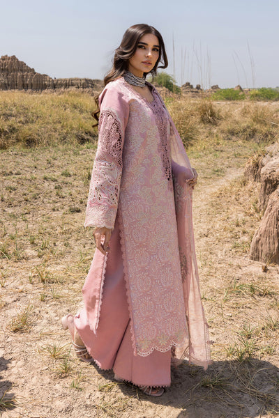 Rangrasiya | Premium Eid Edit 25 | Aysel -  Rangrasiya Ladies Clothes - Original Designer Dress - House of Maryam