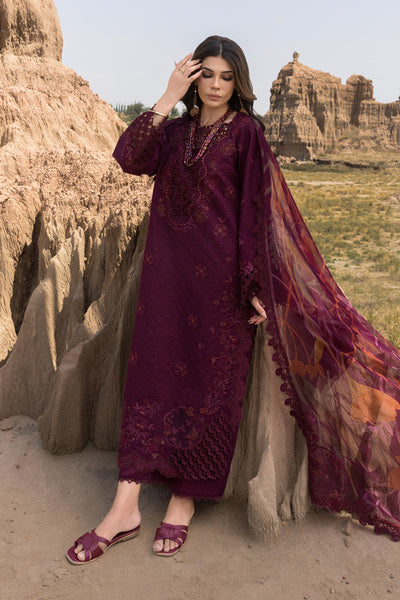 Rangrasiya | Premium Eid Edit 25 | Amyra -  Rangrasiya Ladies Clothes - Original Designer Dress - House of Maryam