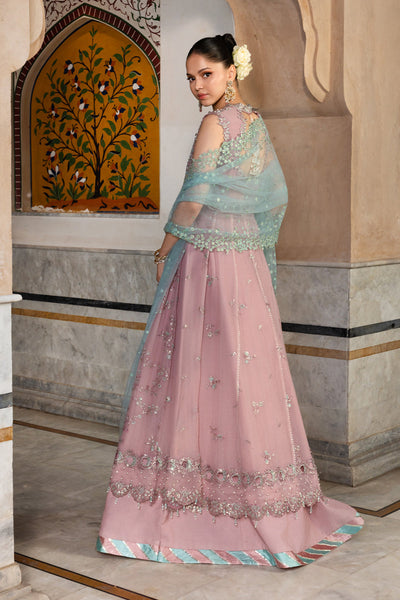 Rangrasiya | Chiffon Formals | Mahiba