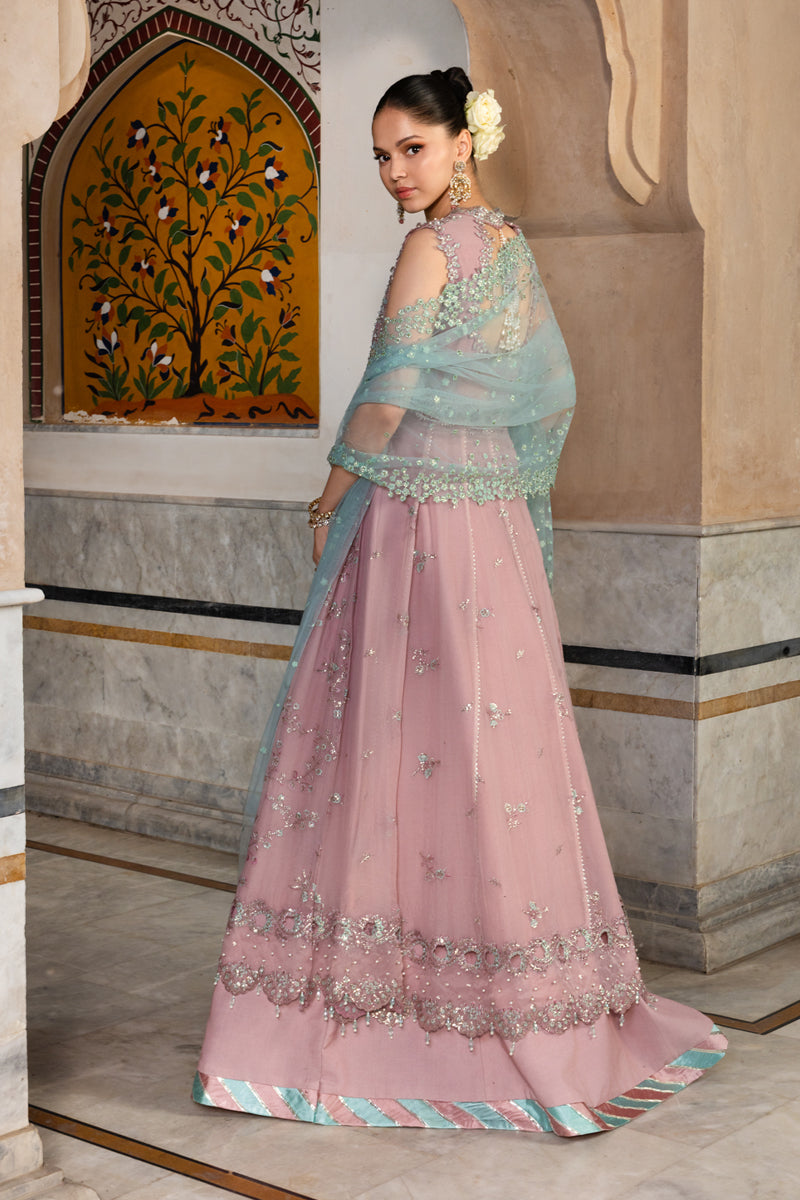 Rangrasiya | Chiffon Formals | Mahiba-2
