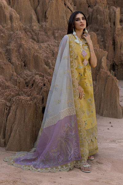 Rangrasiya | Premium Eid Edit 25 | Nadia -  Rangrasiya Ladies Clothes - Original Designer Dress - House of Maryam