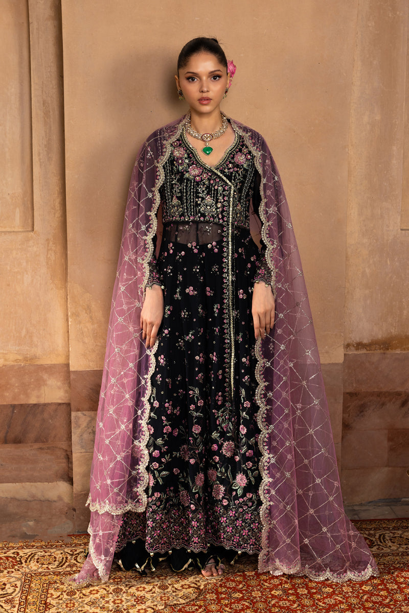 Rangrasiya | Chiffon Formals | Sofia by Rang Rasiya