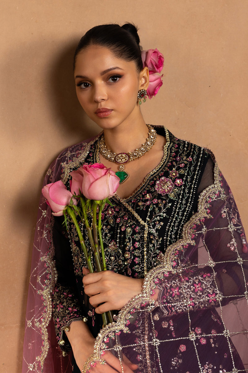 Rangrasiya | Chiffon Formals | Sofia-4