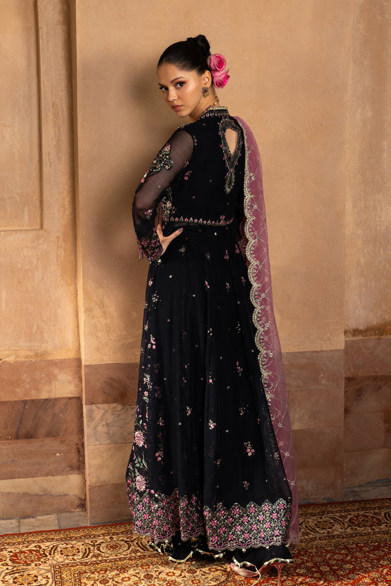 Rangrasiya | Chiffon Formals | Sofia