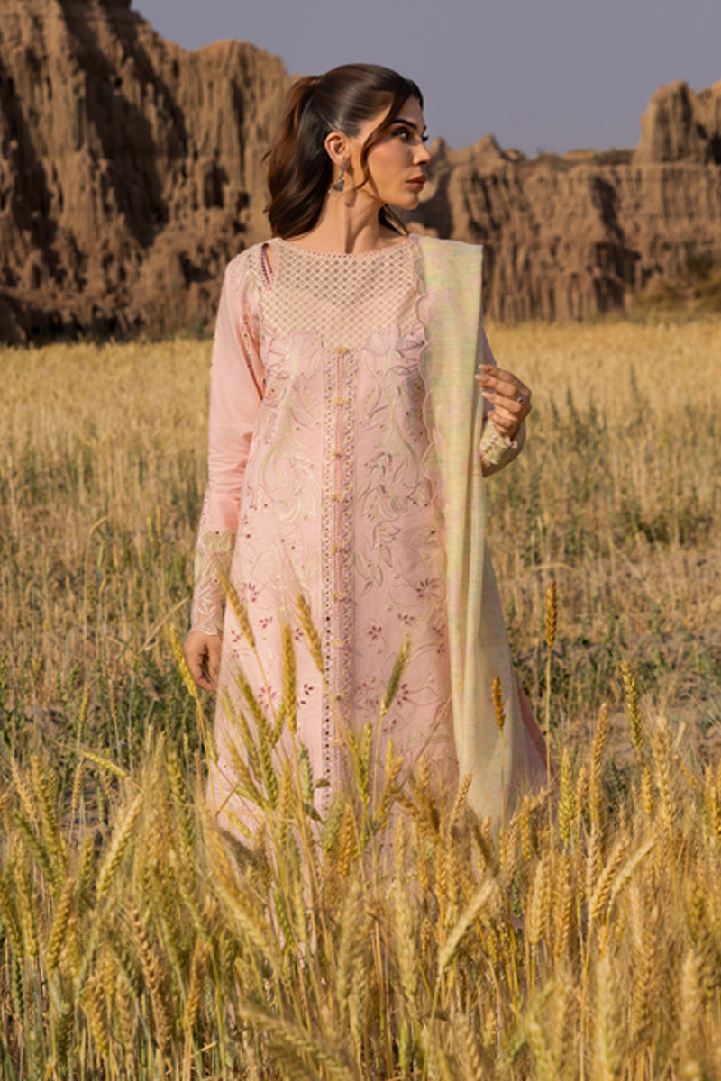 Rangrasiya | Premium Eid Edit 25 | Nehal -  Rangrasiya Ladies Clothes - Original Designer Dress - House of Maryam