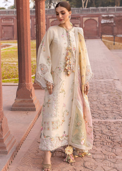 Crimson | flow lawn 26 | MANIFESTED MEADOWS - D7A