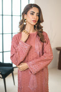Declare | Eid Collection 25 | PB01066 -  Declare Ladies Clothes -  House of Maryam