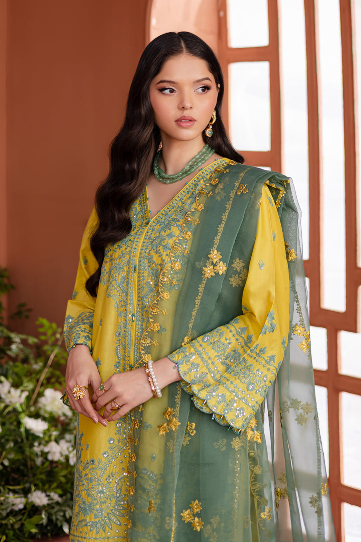 Batik | Aylin Festive Solids | Zane -  Batik Ladies Clothes - Original Designer Dress - House of Maryam
