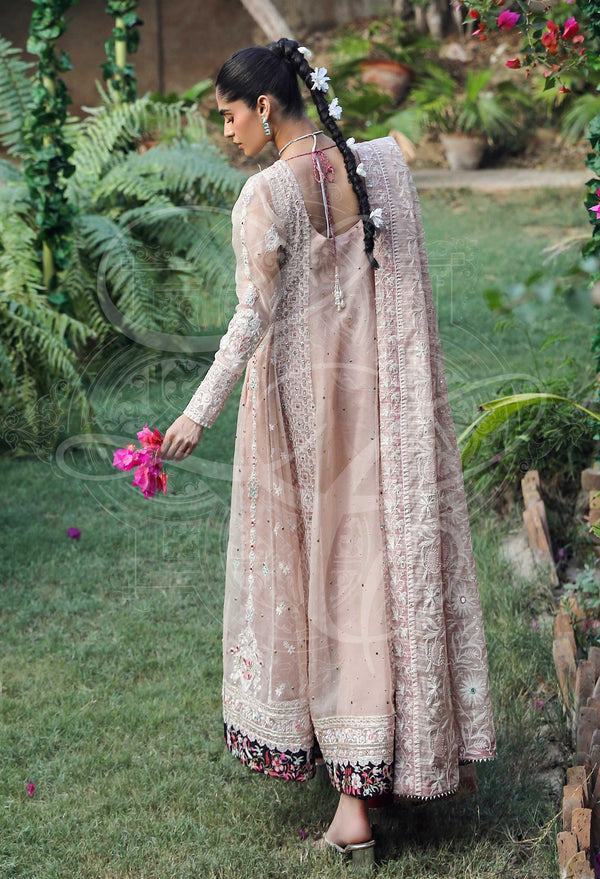 Layla Chatoor | Luxury Pret | Amani, image 2