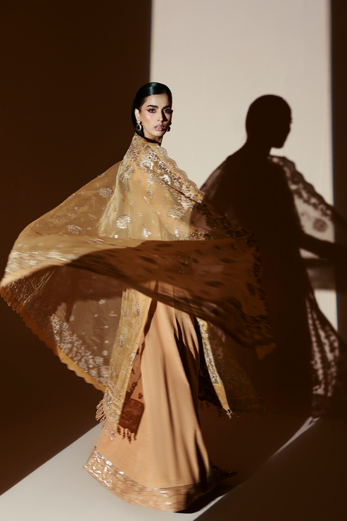 Emaan Adeel | Celestique Formals 25 | EMBER-4