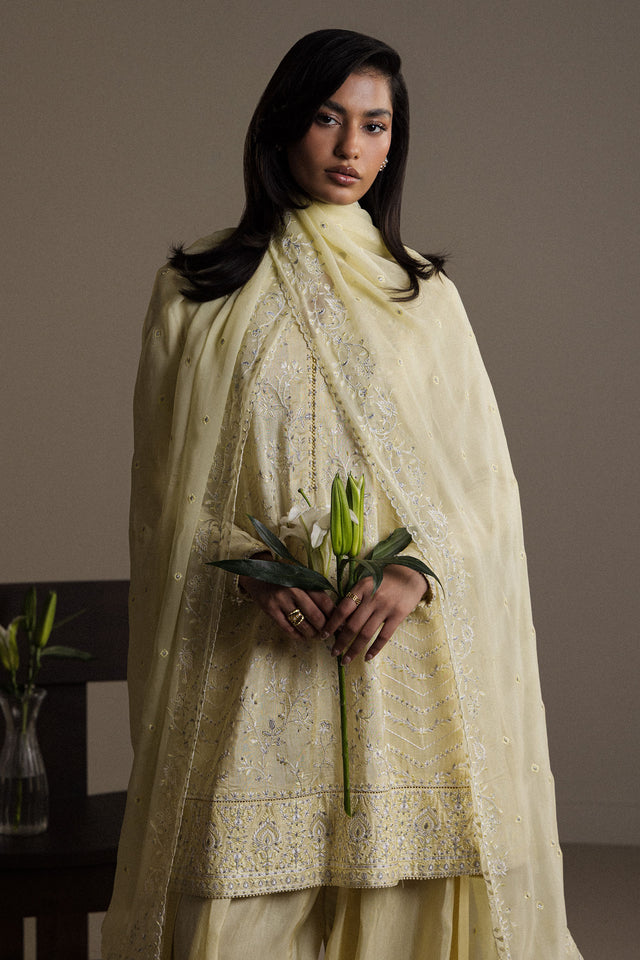 Zara Shahjahan | Festive 26 | ZARDIYA, image 3