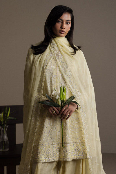 Zara Shahjahan | Festive 26 | ZARDIYA