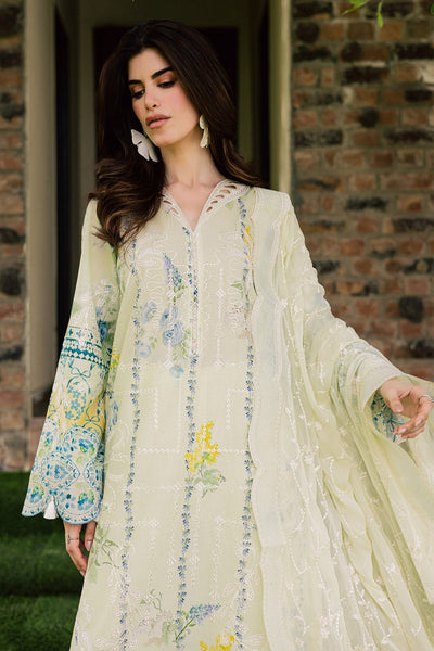 Nureh | Raha Lawn | NE-259
