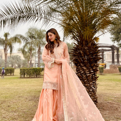 Daud Abbas | Formals Collection | Zaira -  Daud Abbas Formal - Original Designer Dress - House of Maryam