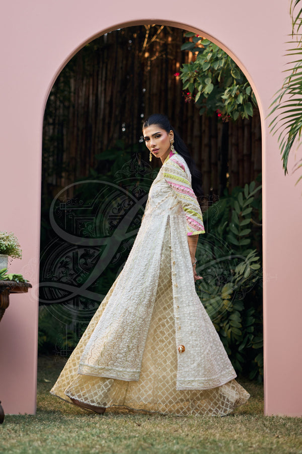 Layla Chatoor | Luxury Pret | Aaira, image 4
