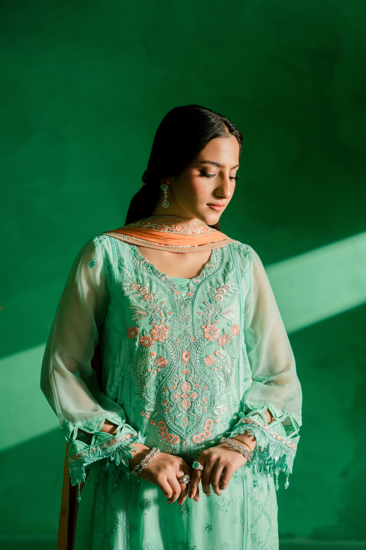 Zebtan | Farmaish Formals | FC-02 -  Zebtan Ladies Clothes - Original Designer Dress - House of Maryam