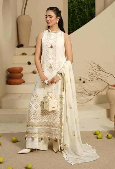 Humdum | Mushak26 | Mushak - D02