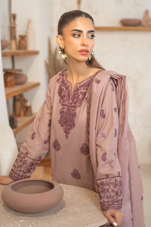 Declare | Eid Collection 25 |  PB01080 -  Declare Ladies Clothes -  House of Maryam