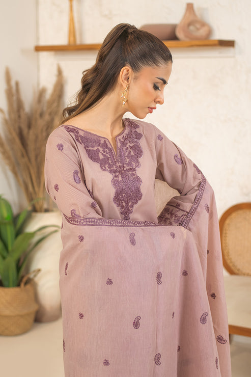 Declare | Eid Collection 25 |  PB01080 -  Declare Ladies Clothes -  House of Maryam