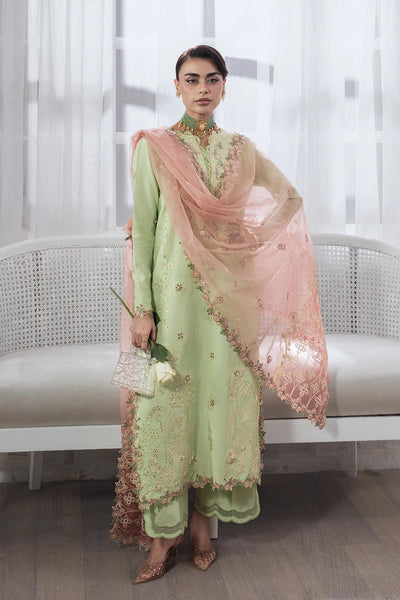 Rangrasiya | Lumeire Silk |Alma