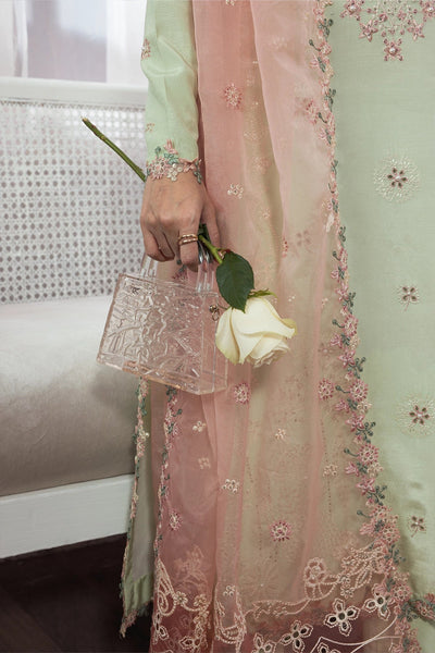 Rangrasiya | Lumeire Silk |Alma