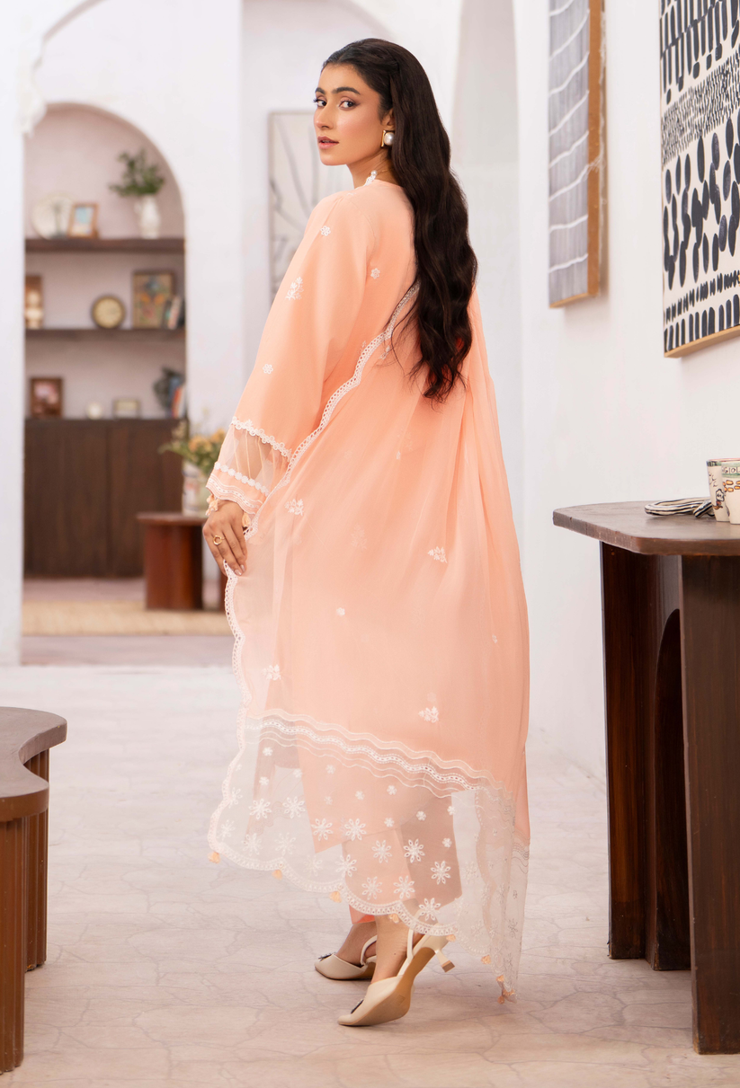 Humdum | Nayab 26 | NAYAB - D10-2