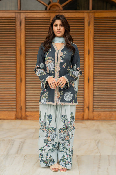 Shamaeel Ansari | Nazaakat Pret | Blue Mirage
