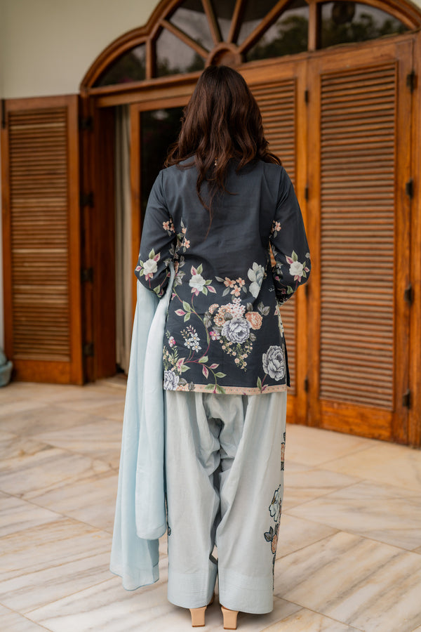 Shamaeel Ansari | Nazaakat Pret | Blue Mirage-2