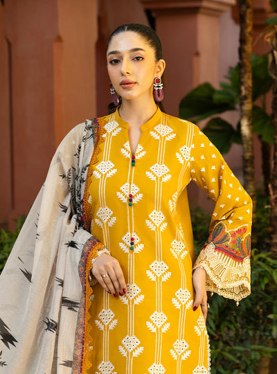 Zainab Chottani | Chikankari 25 | Aanya - 4A -  Zainab Chottani Ladies Clothes - Original Designer Dress - House of Maryam