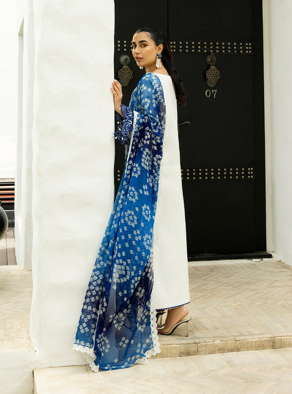 Zainab Chottani | Chikankari 25 | Reem - 8A -  Zainab Chottani Ladies Clothes -  House of Maryam