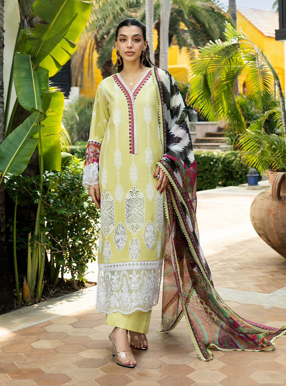 Zainab Chottani | Chikankari 25 | Rayne - 12A -  Zainab Chottani Ladies Clothes -  House of Maryam