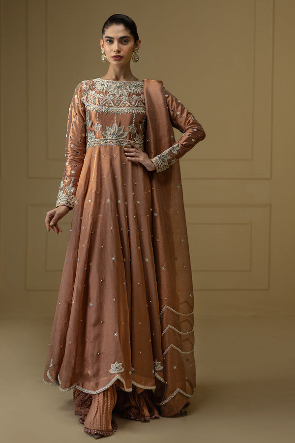 Sana Abbas | Suvi Wedding Formals | NUR -  Sana Abbas Ladies Clothes - Original Designer Dress - House of Maryam