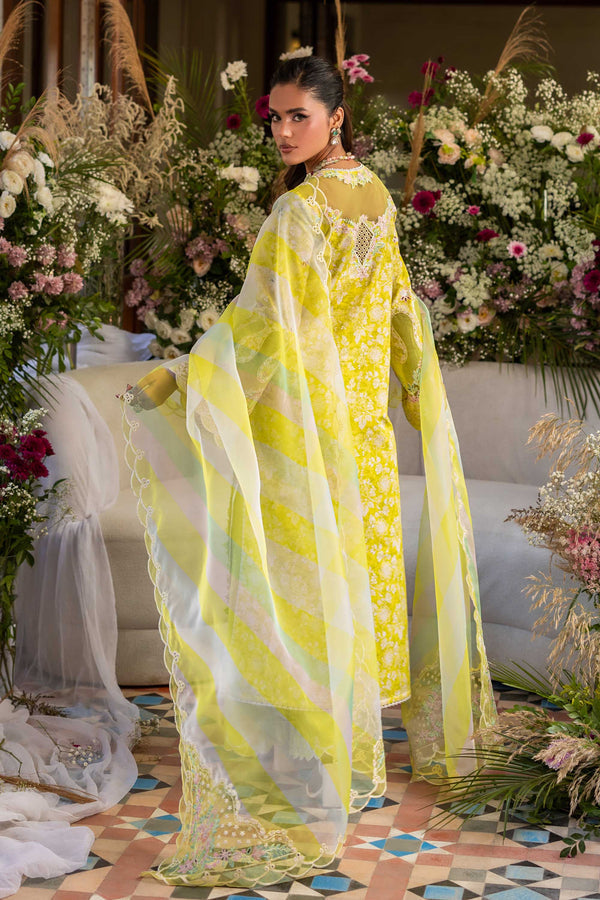 Akbar Aslam | Elaria Ready to Wear Lawn 26 | Surai-2