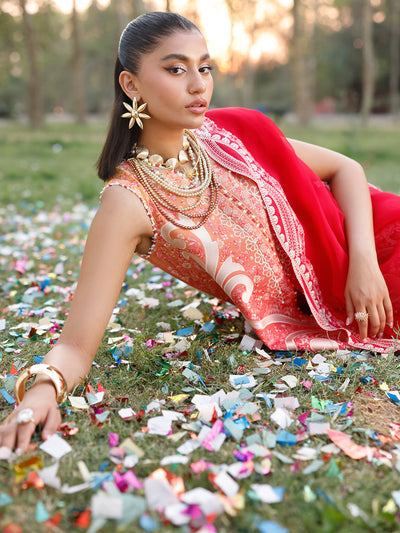 Bin Ilyas | Carnival Summer Edit 25 | 36 - B -  Bin Ilyas Ladies Clothes - Original Designer Dress - House of Maryam