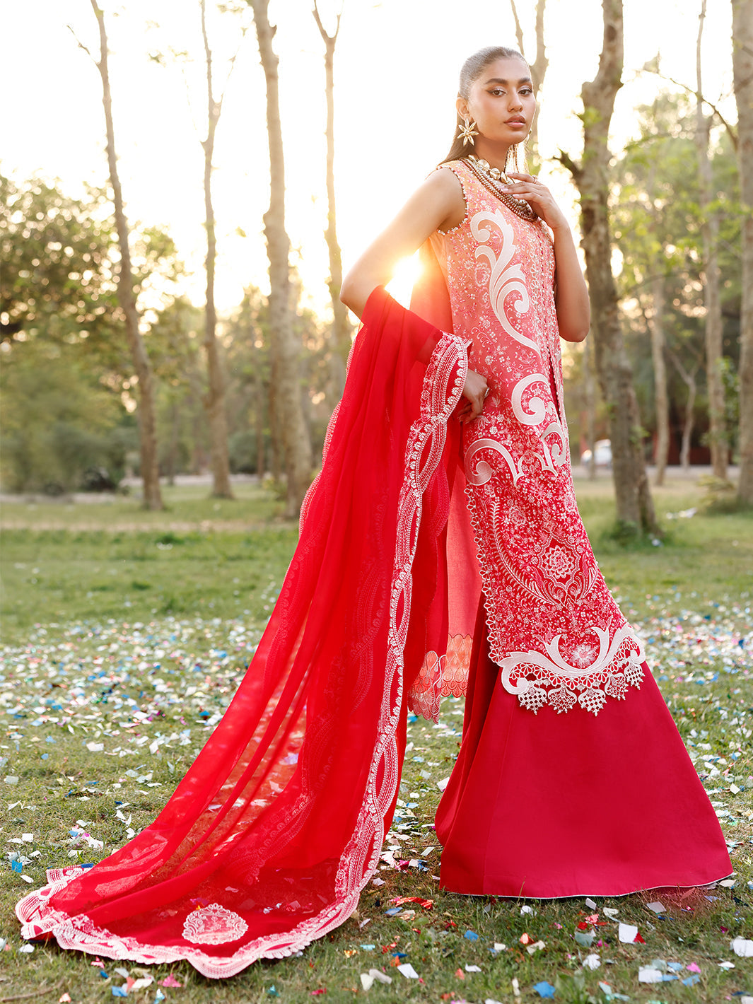 Bin Ilyas | Carnival Summer Edit 25 | 36 - B -  Bin Ilyas Ladies Clothes - Original Designer Dress - House of Maryam