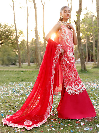 Bin Ilyas | Carnival Summer Edit 25 | 36 - B -  Bin Ilyas Ladies Clothes - Original Designer Dress - House of Maryam