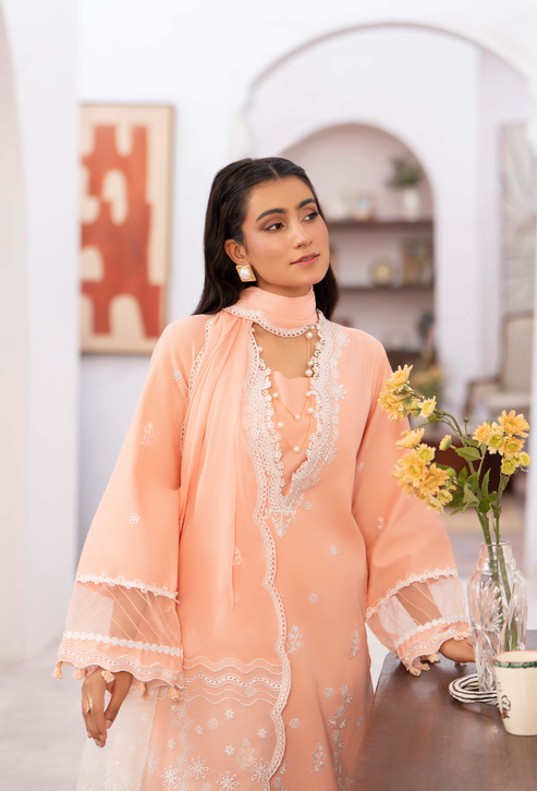 Humdum | Nayab 26 | NAYAB - D10-3