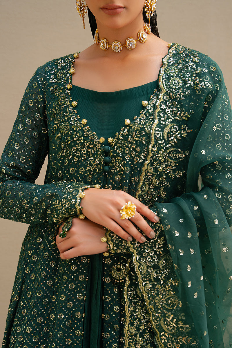 Cross Stitch | Wedding Pret | Green Spring-3PC Chiffon Embroidered Pret, image 5