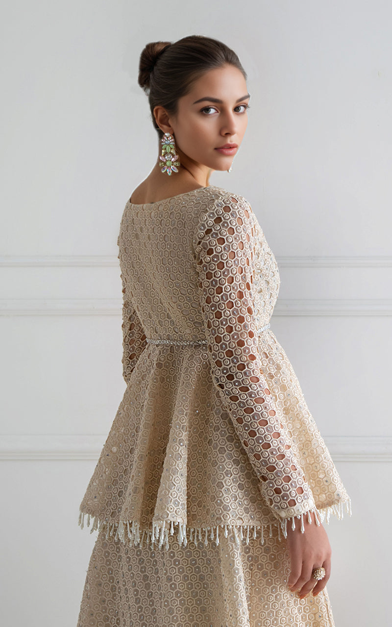 Threads and Motifs | Formal Dresses 25 | Organza Embroidered Peplum With Skirt-3