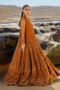 NAQSHI Tianaa rust net angrakha frock front view showcasing heavily embroidered floral and geometric motifs, sequin accents, dome-shaped embroidered border, floor-length cutline.