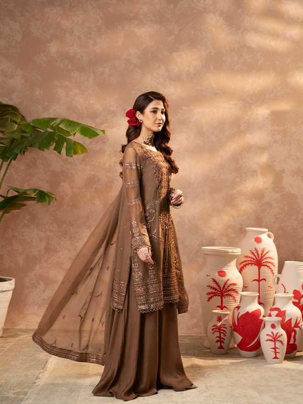 Zebtan | Zeenat Festive Collection | ZN-03 by Designer Zebtan - House of Maryam - Pakistani Designer Ethnic Wear in {{ shop.shopifyCountryName }}