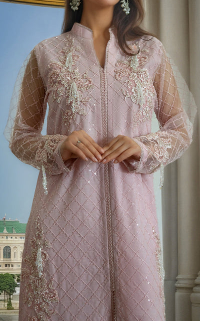 Threads and Motifs | Formal Dresses 25 | Net Embroidered Jacket With Trouser -  Threads and Motifs Ladies Clothes - Original Designer Dress - House of Maryam