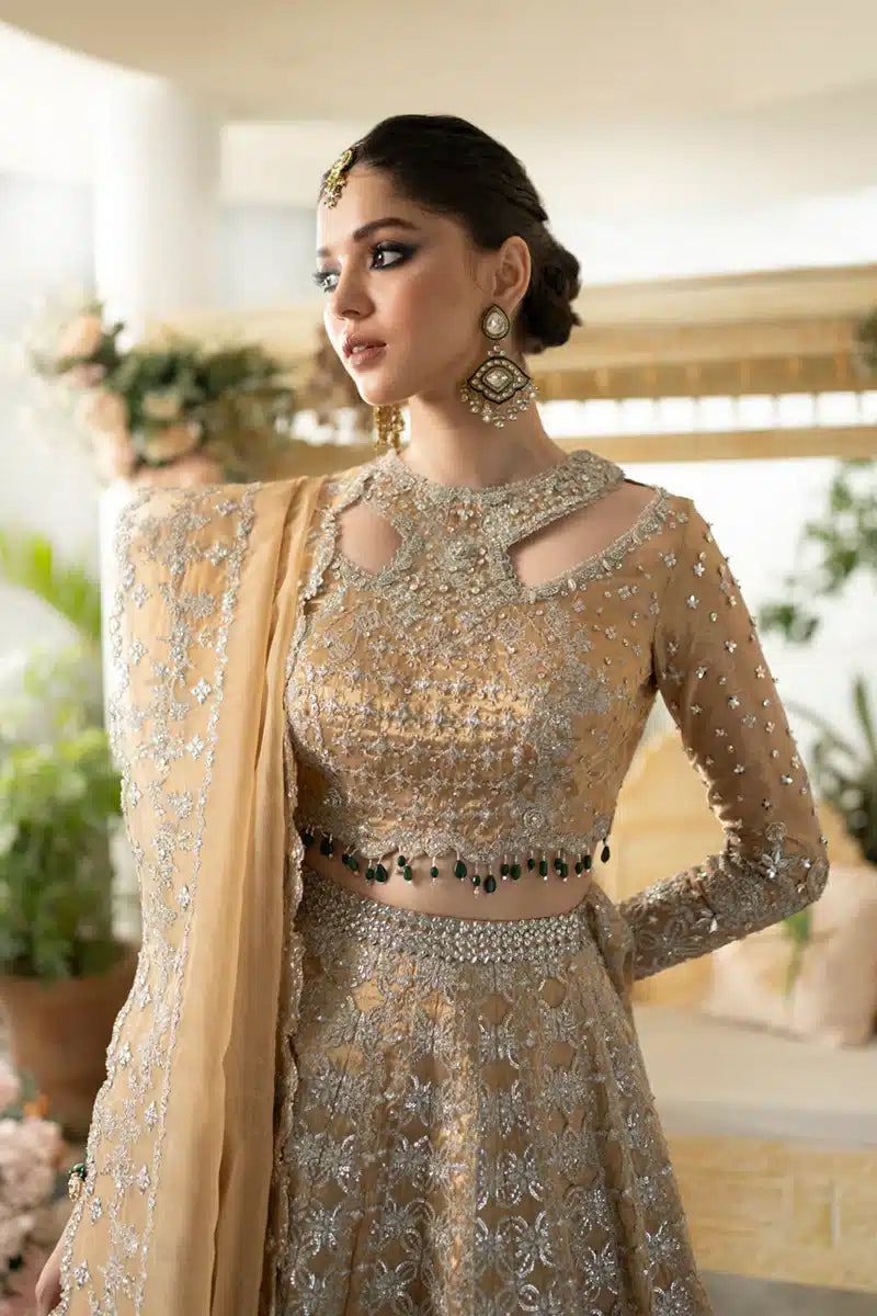 Qalamkar | Dilnaz Wedding Formals | DN-01 IMAAN