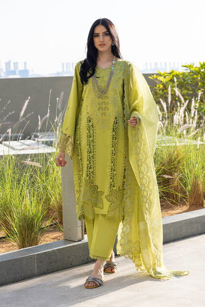 Rangrasiya | Carnation Summer Edit 25 | Aaleen -  Rangrasiya Ladies Clothes - Original Designer Dress - House of Maryam