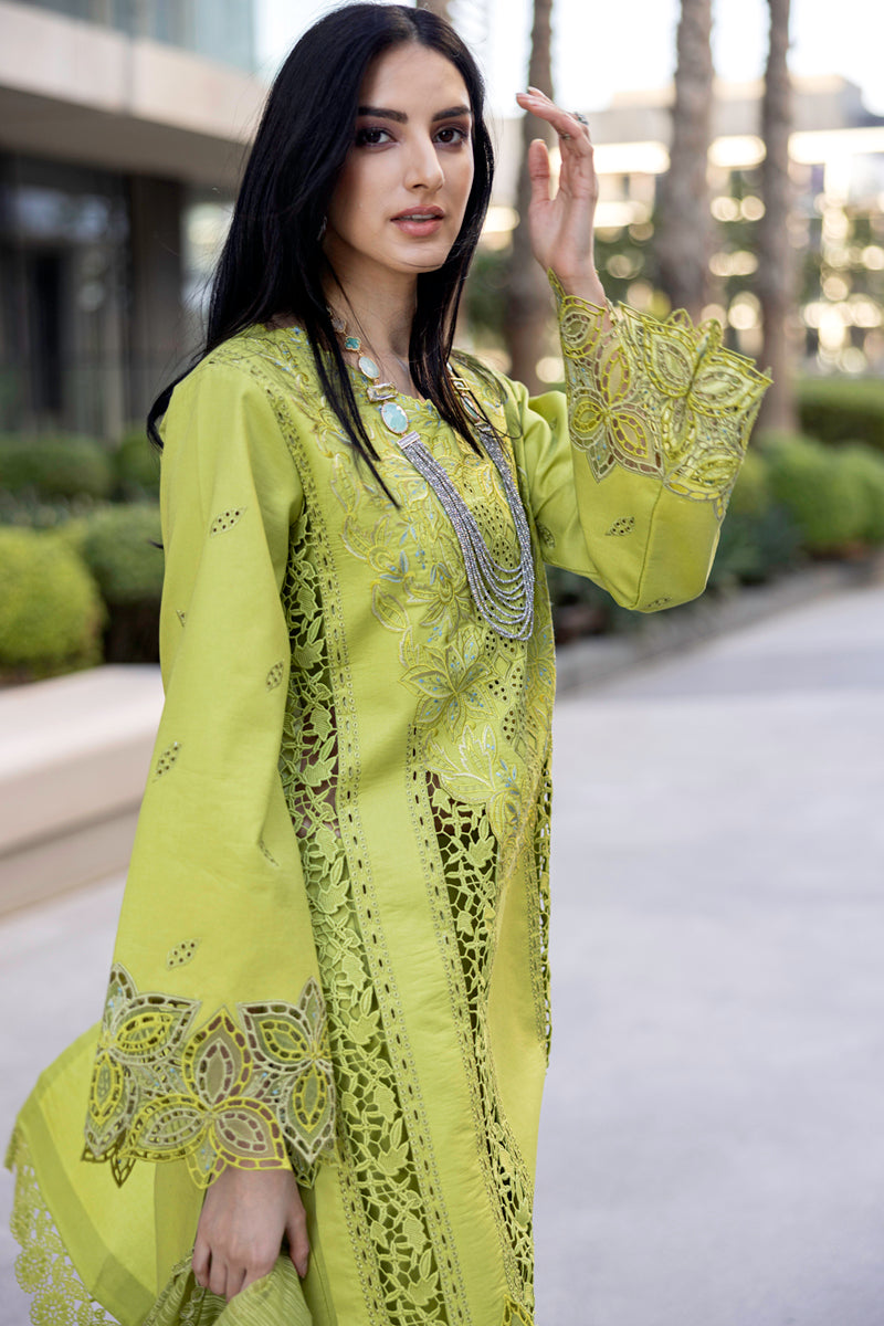 Rangrasiya | Carnation Summer Edit 25 | Aaleen -  Rangrasiya Ladies Clothes - Original Designer Dress - House of Maryam