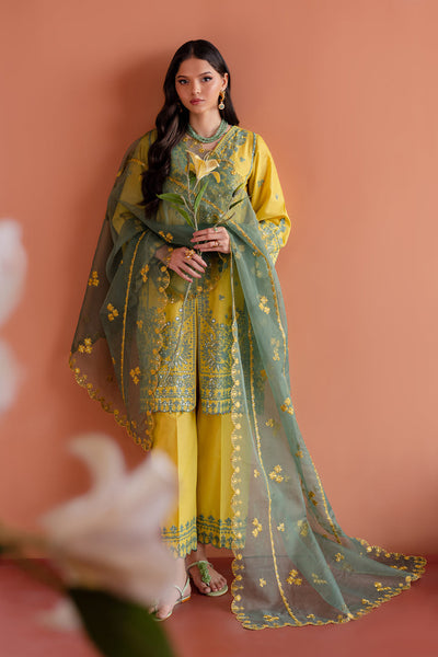 Batik | Aylin Festive Solids | Zane -  Batik Ladies Clothes - Original Designer Dress - House of Maryam